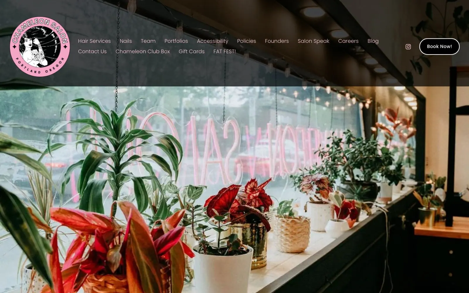 The home page of Chameleon Salon
